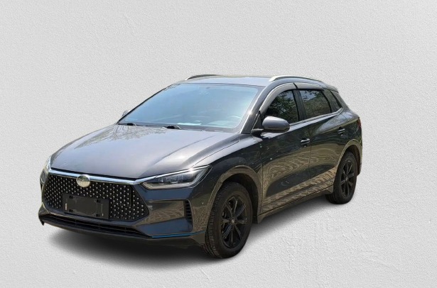 BYD E2